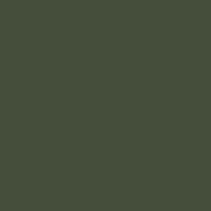 HEDGE MEN'S TWILL PANTS IN ARMY GREEN